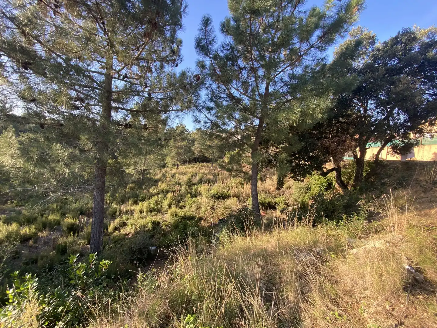 Terreno residencial en venta en Carrer Perdiu 38, imagen 19
