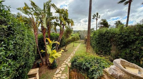 Photo 5 of Detached homes for sale in Calvià pueblo, Calvià