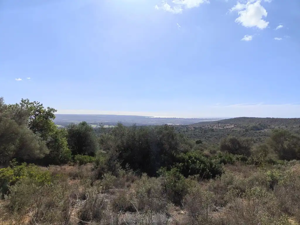 Terreny rústic en venda a Llevant, imagen 2