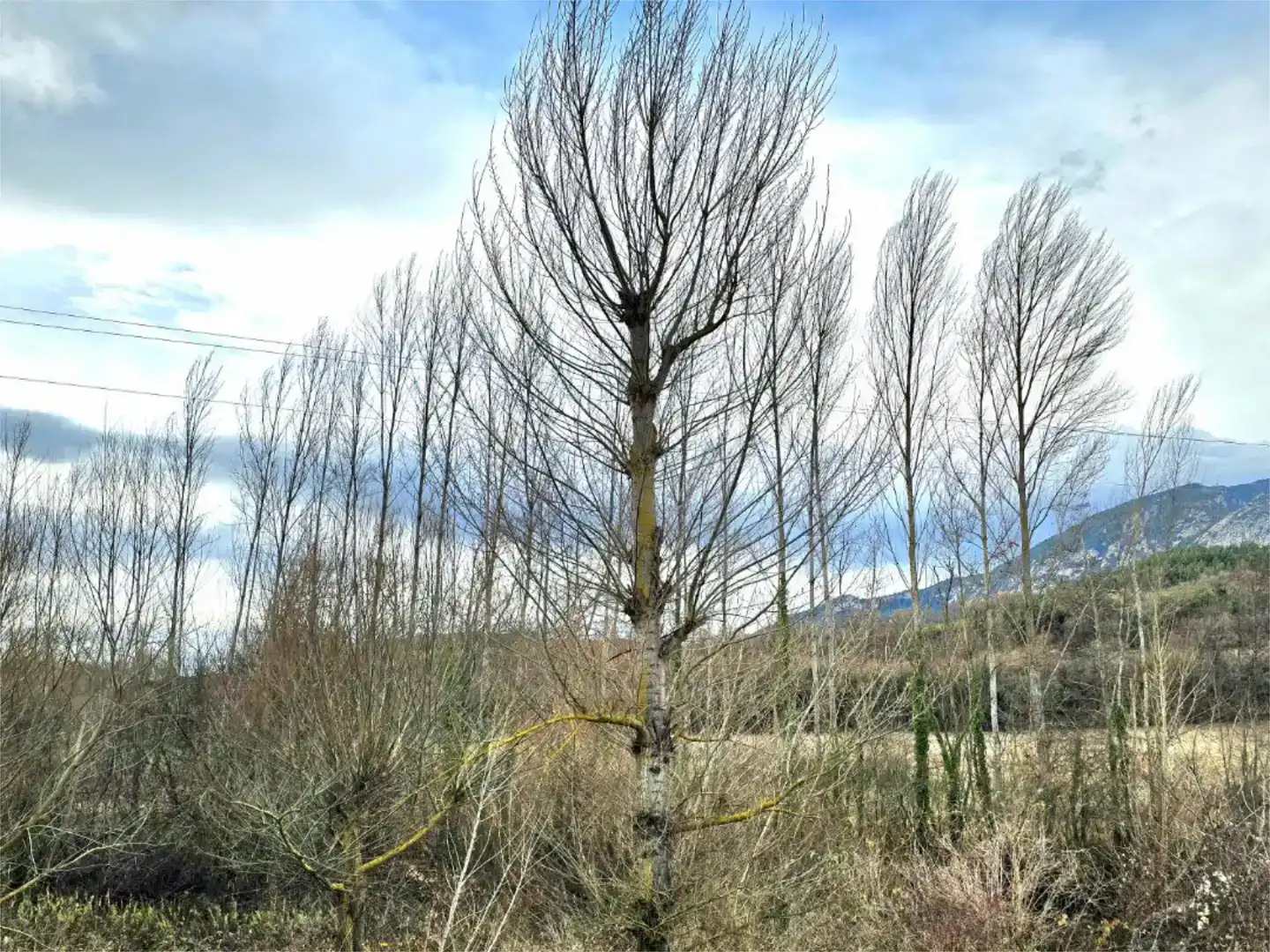 Vista exterior de Pis en venda en Valdegovia / Gaubea amb Jardí privat, Parquet i Traster