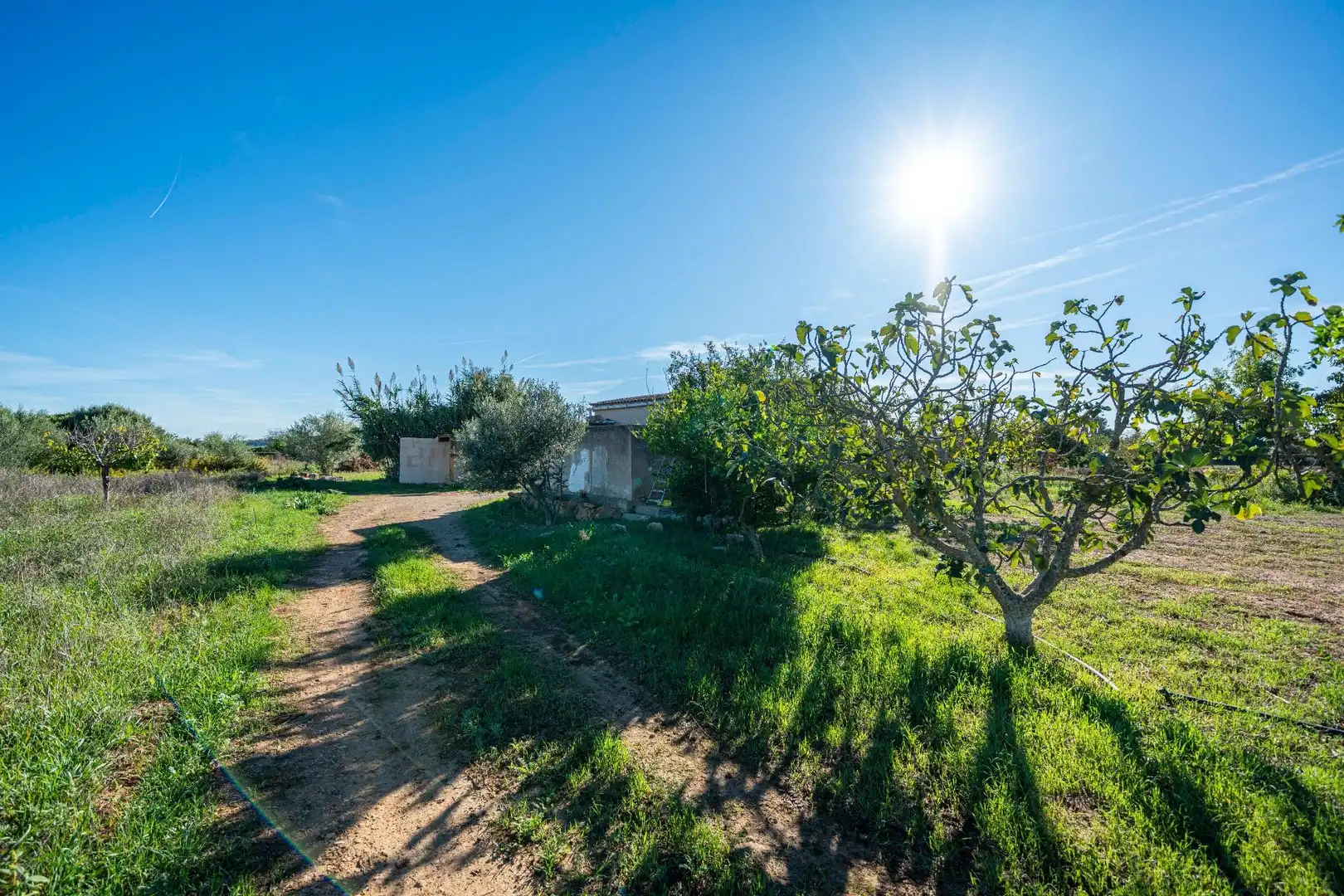 Country house zum Verkauf in Porreres mit Privatgarten, Terrasse und Abstellraum