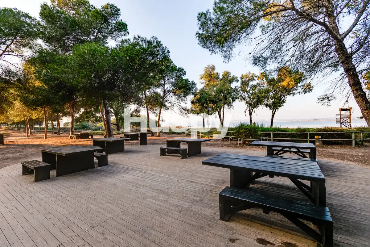 Casa con terrazza in vendita a Calle Pepe Luis Vázquez, imagen 44