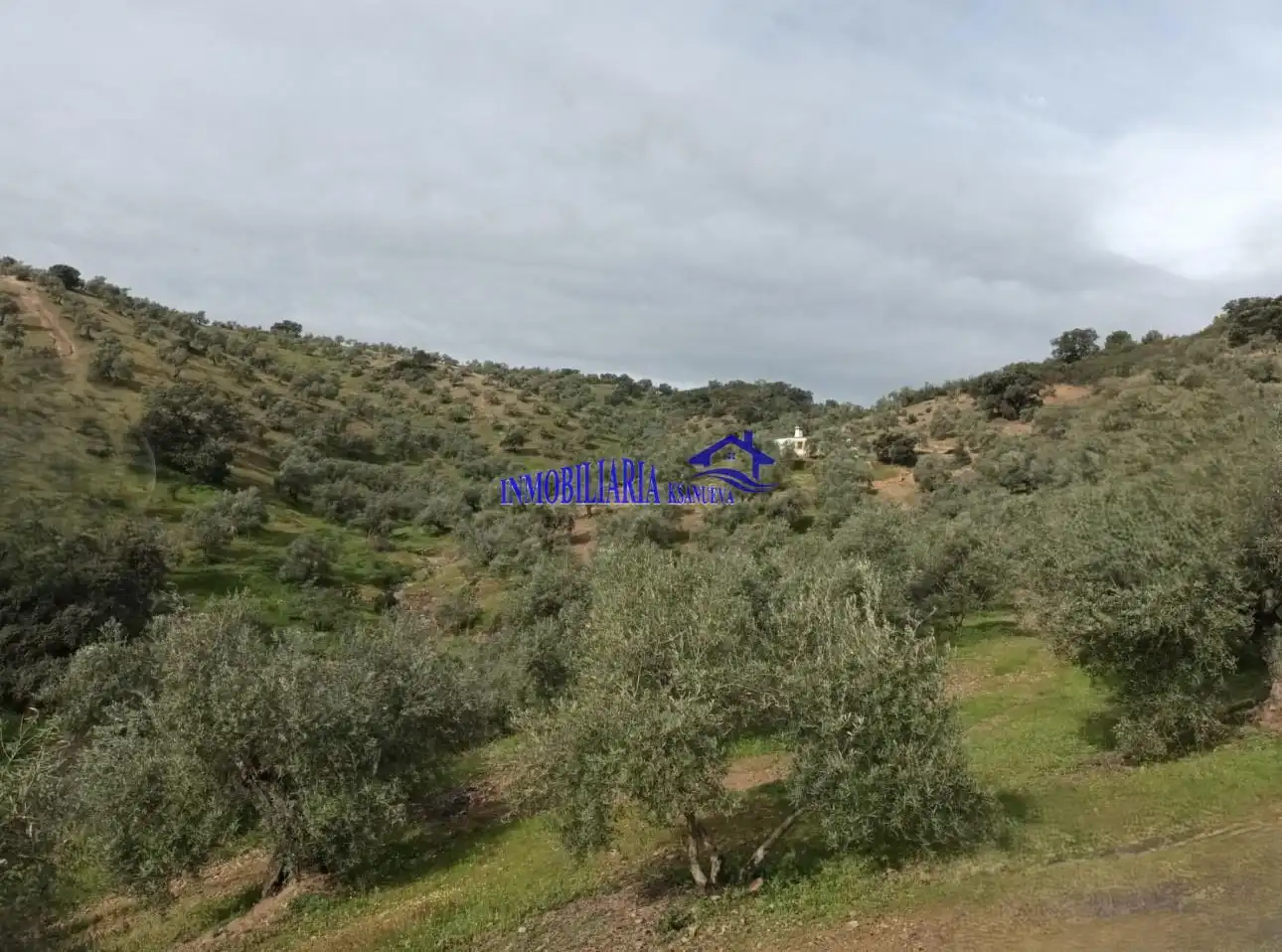 Country homes for sale in Adamuz, Córdoba