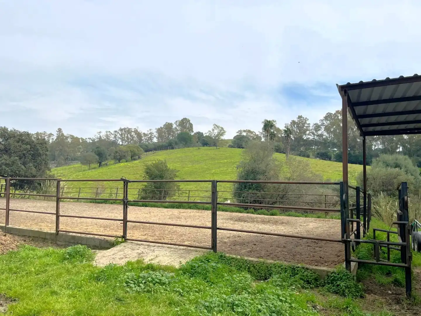 Exterior view of Country homes for sale in Jimena de la Frontera