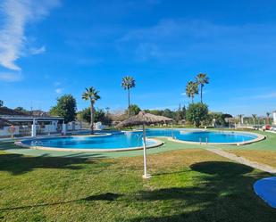 Swimming pool of House or chalet for sale in Torrevieja