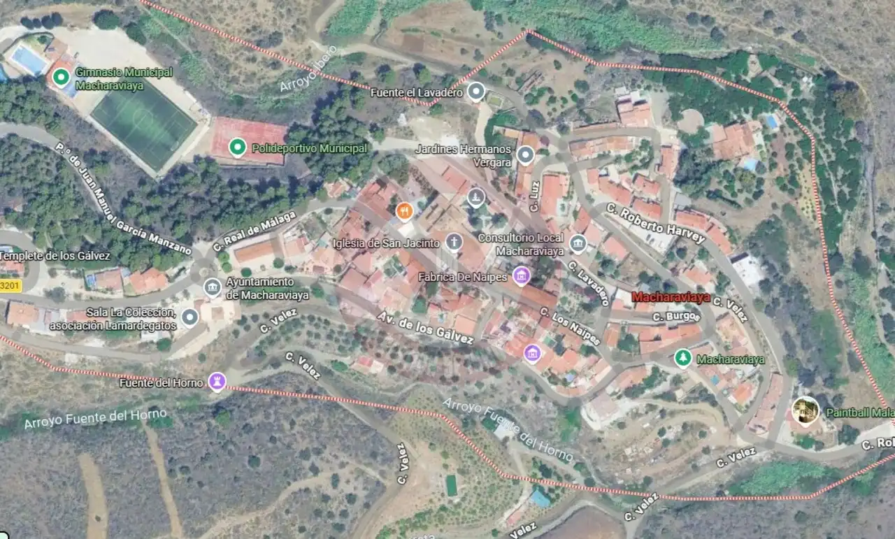Vista exterior de Casa o chalet en venta en Macharaviaya con Jardín privado y Terraza