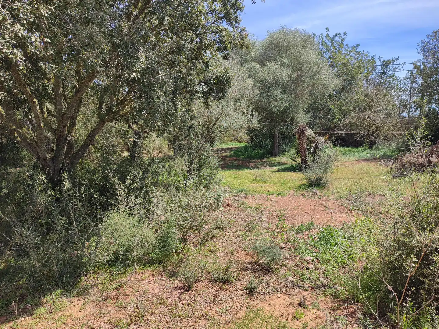 Maison rustique avec jardin à vendre à Felanitx Poble, imagen 19