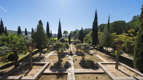 Photo 2 of Country homes for sale in Diseminado P 25 Sta Gertrudis, Santa Gertrudis, Santa Eulària des Riu