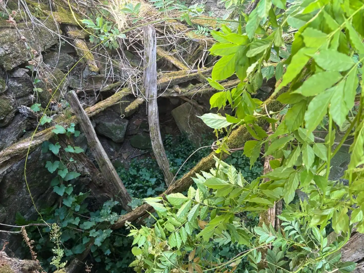 Casa rústica en venda a Salvaterra de Miño, imagen 36