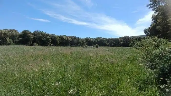 Lands and plots for sale in Igúzquiza, imagen 3