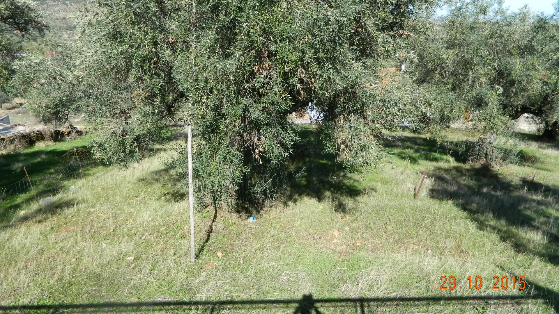 Terreno residencial en venta en N/A, imagen 2