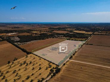 Terreno rustico in vendita a Campos poble