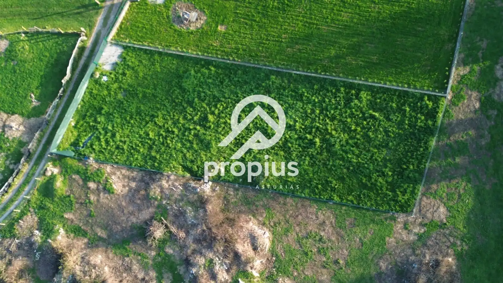 Land for sale in Llanes