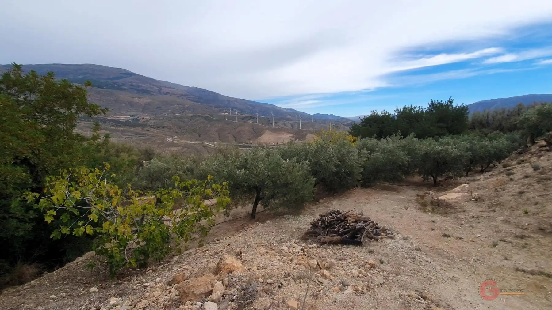 Terreni e lotti in vendita a El Pinar, imagen 7