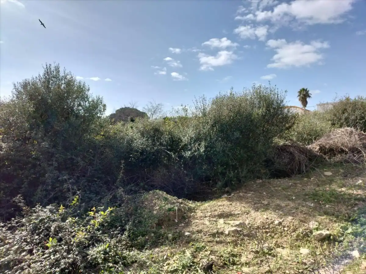 Lands and plots for sale in Pescadores - Saladillo, imagen 11