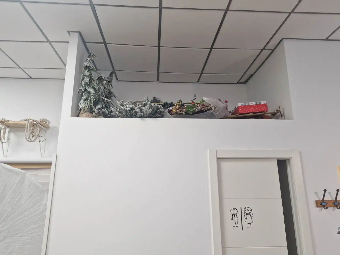 Gewerbefläche zur Miete in todo sobre mi madre, imagen 12