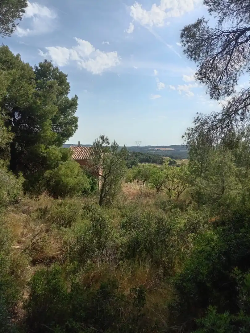 Finca rústica en venda en Batea
