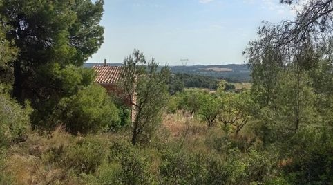 Finca con agua de 10.500m2 + casa de 61m2. Batea. 36.000€
