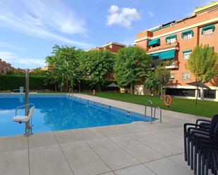 Swimming pool of Flat to rent in  Sevilla Capital