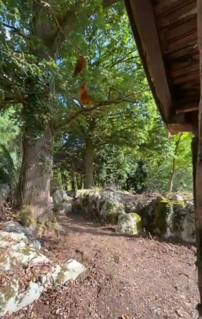 Garden of Houses for rent in Voto  with Private garden, Terrace and Furnished