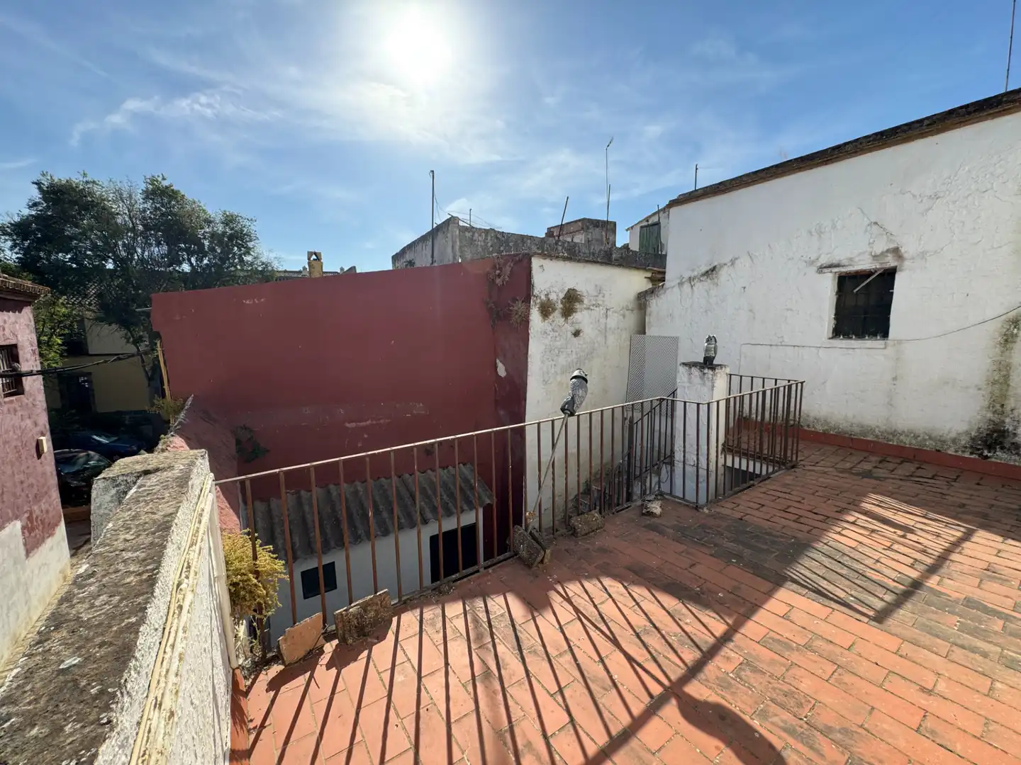 Vista exterior de Finca rústica en venda en Carmona amb Traster