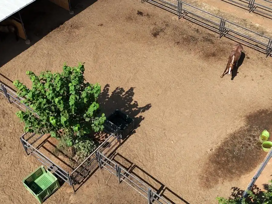 Finca rústica en venda en Rafelguaraf amb Aire condicionat, Calefacció i Jardí privat