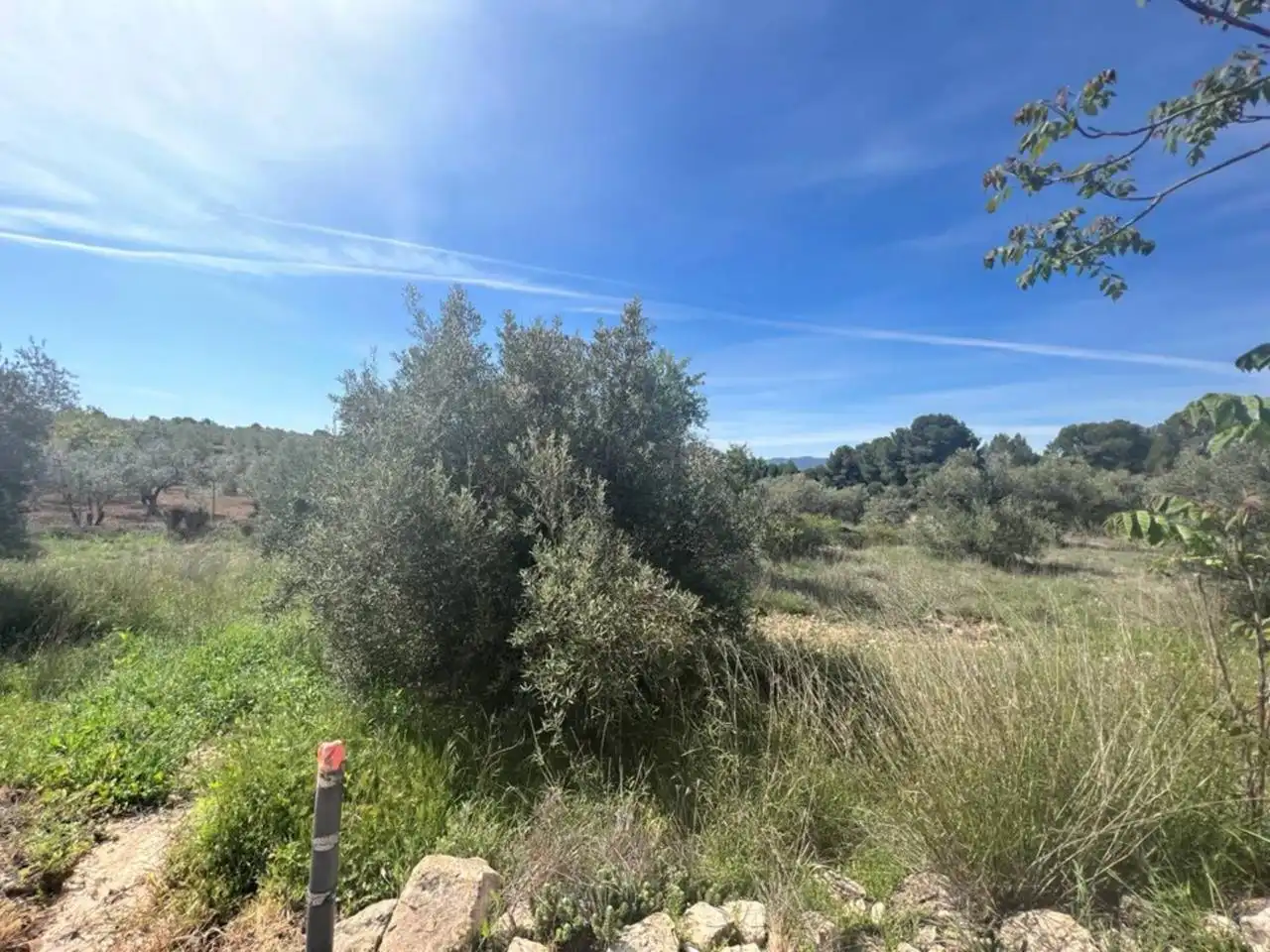 Chalet con jardín en venta en Calle Poligono, imagen 168
