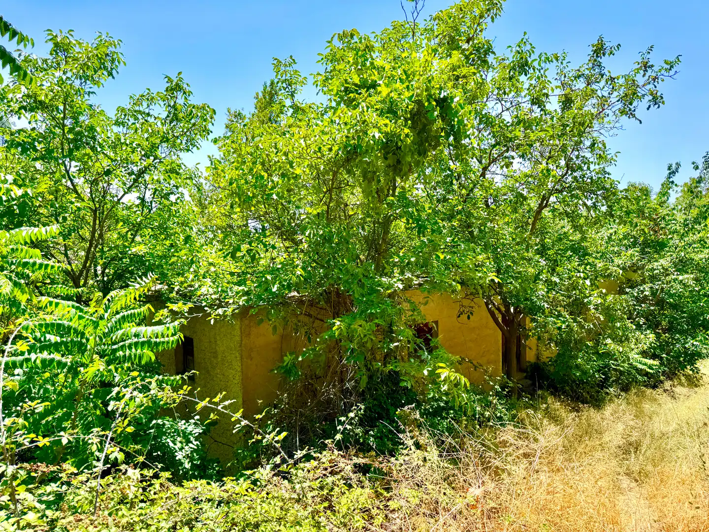 Finca rústica en venta en Alpujarra de la Sierra