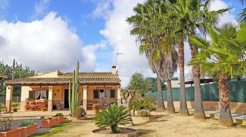Foto 4 de Finca rústica en venta en De Alicantí, Llucmajor pueblo, Illes Balears