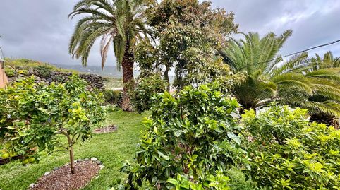 Foto 3 de Casa o chalet en venta en La Vega - El Amparo - Cueva del Viento, Icod de los Vinos