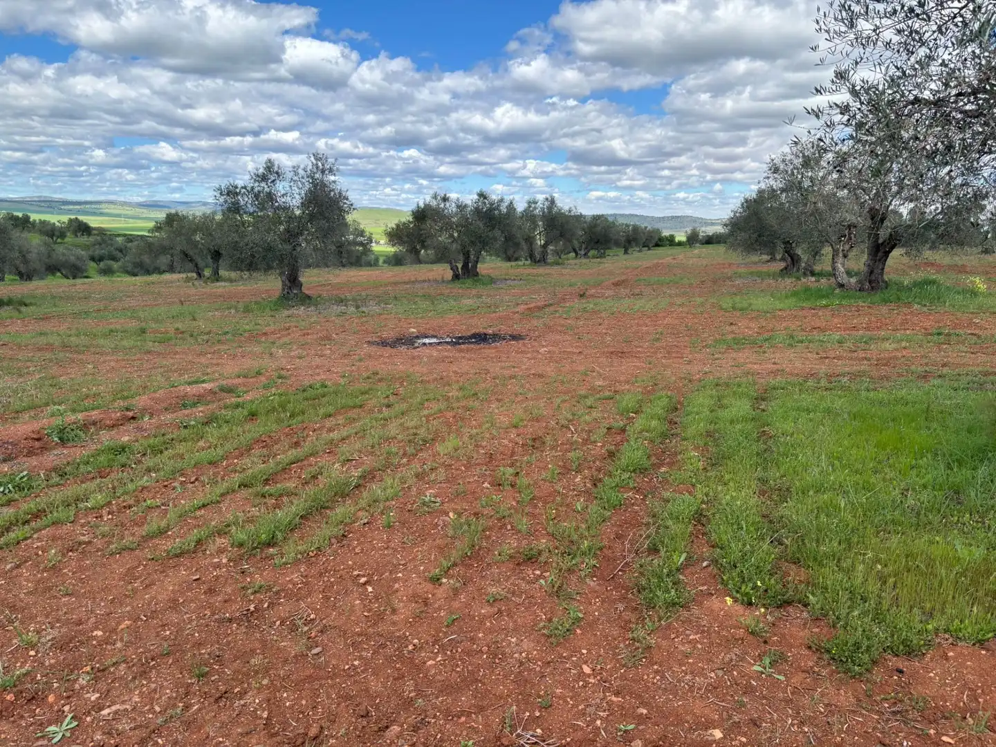 Residential for sale in Ciudad Real