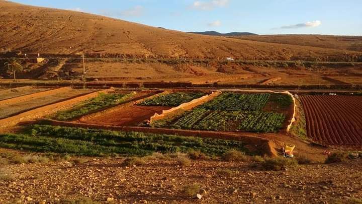 Jardí de Finca rústica en venda en Pájara