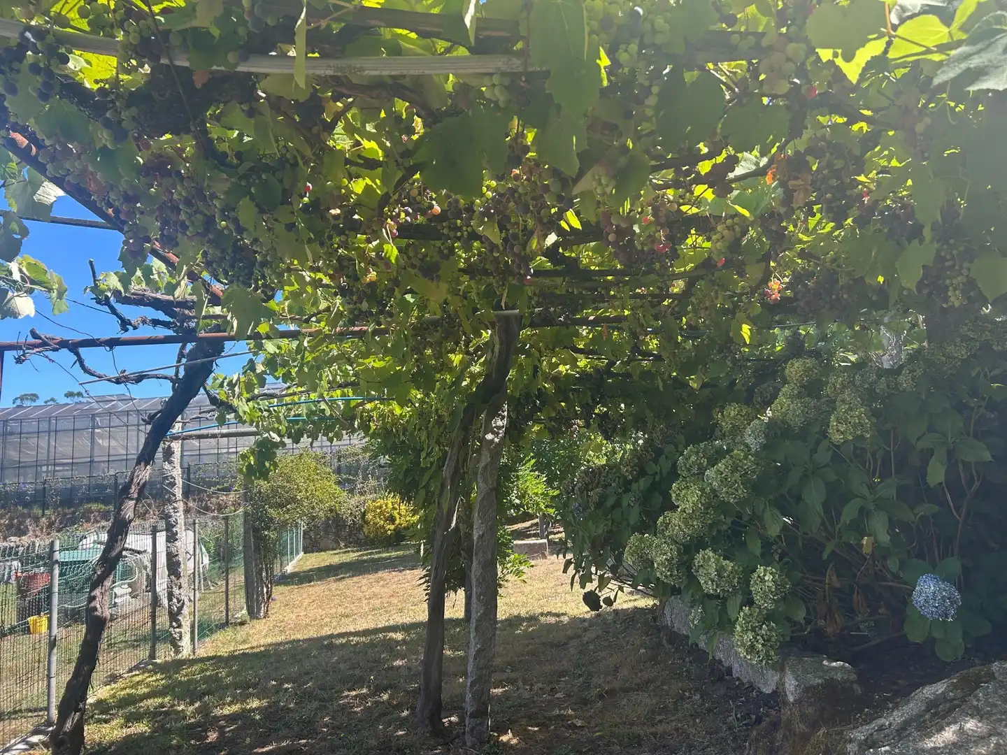 Garden of Country homes for sale in Vilanova de Arousa  with Air Conditioner and Heating