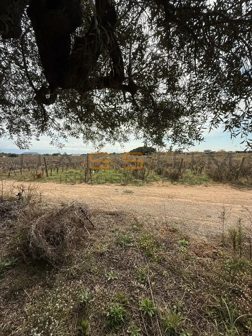 Rural land for sale in Sant Salvador, imagen 29