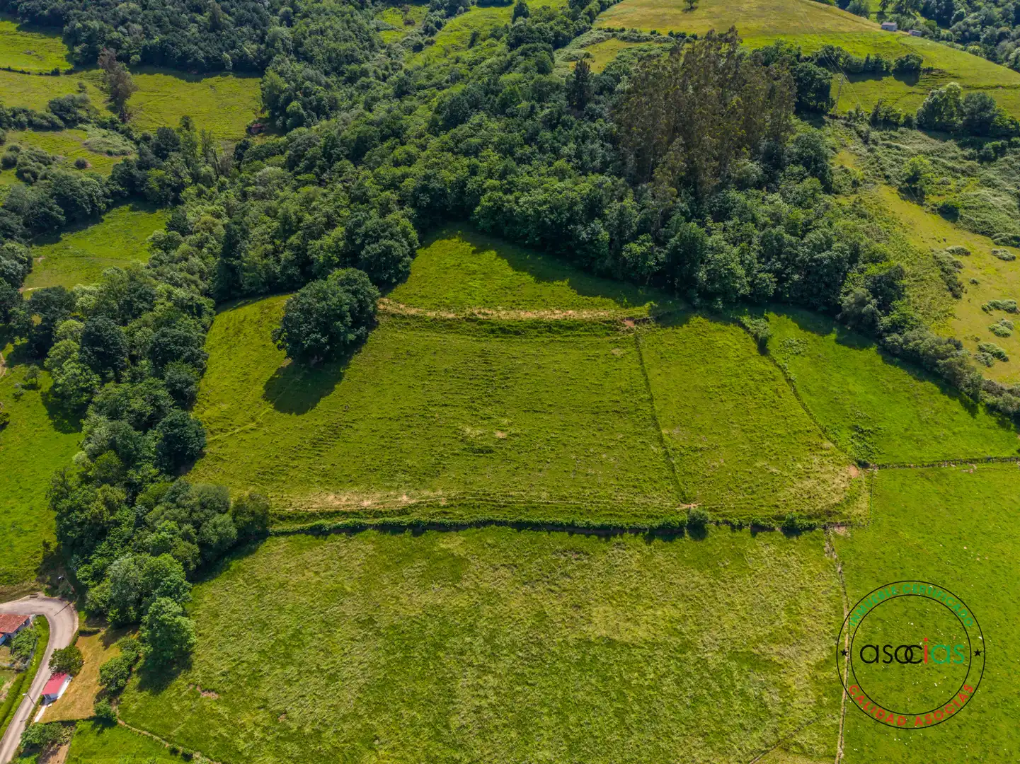 Rustikales Grundstück zum Verkauf in COALLA, imagen 18
