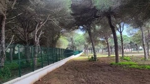 magnifica parcela proxima a playa cal del aceite frente camping , imatge 2