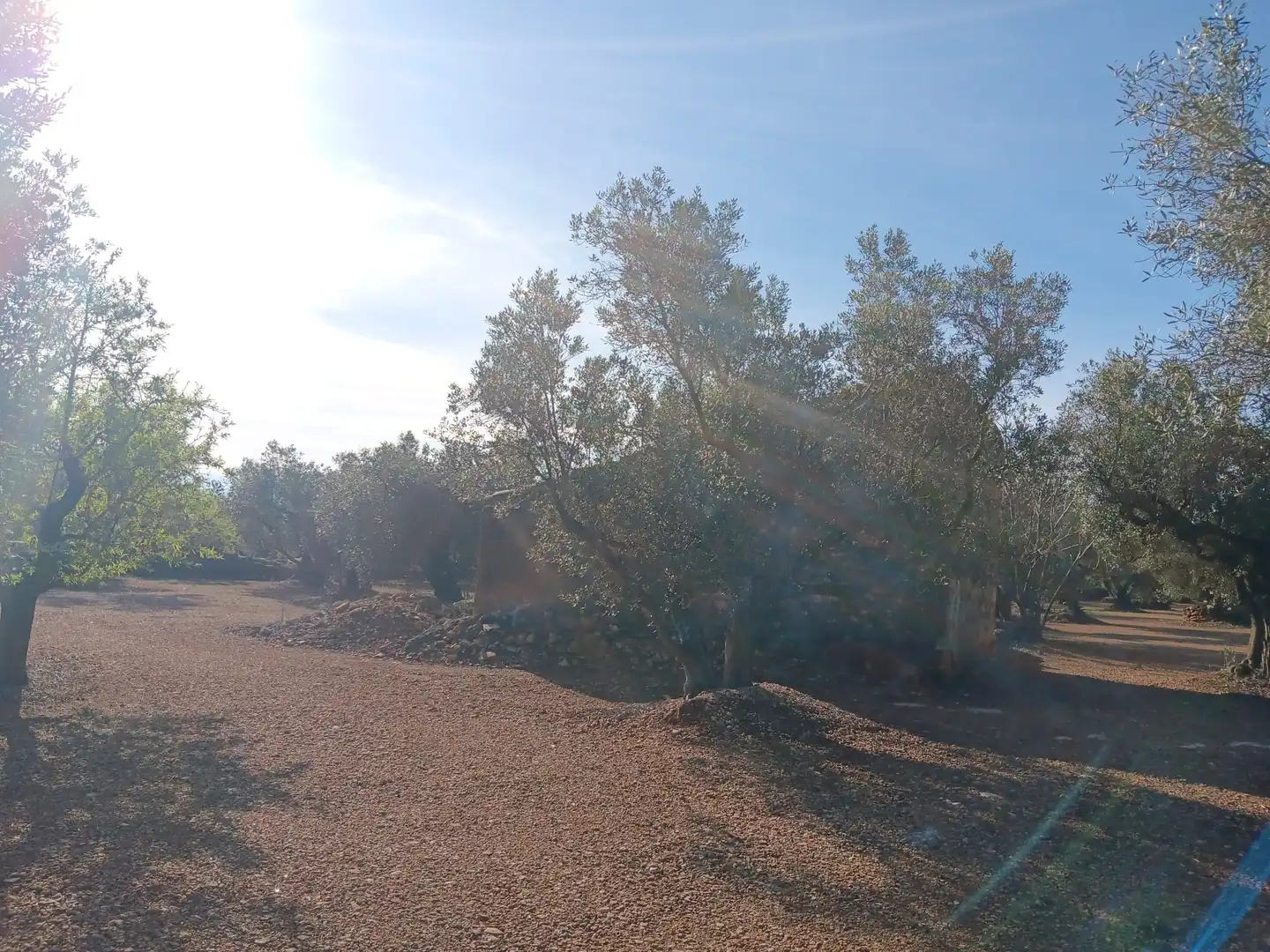 Lands and plots for sale in Roquetes, imagen 8