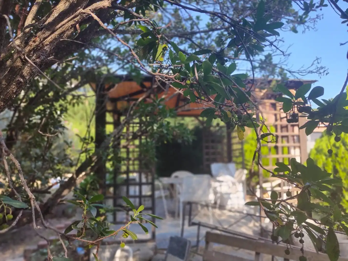 Casa con jardín en venta en Riells i Viabrea, imagen 9