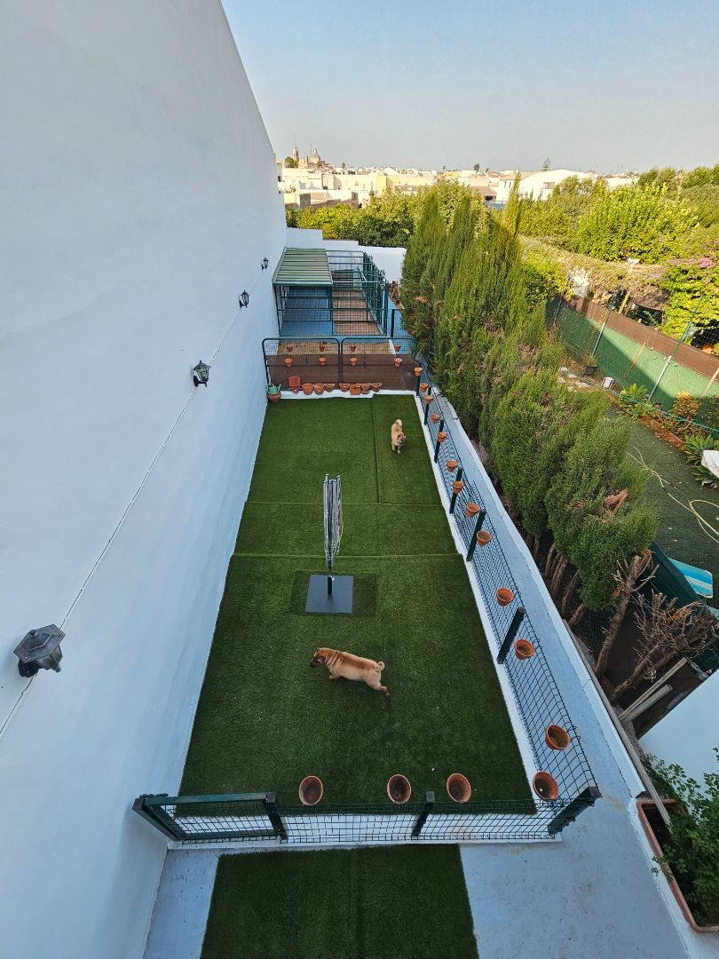 Jardí de Casa adosada en venda en Umbrete amb Aire condicionat, Calefacció i Jardí privat