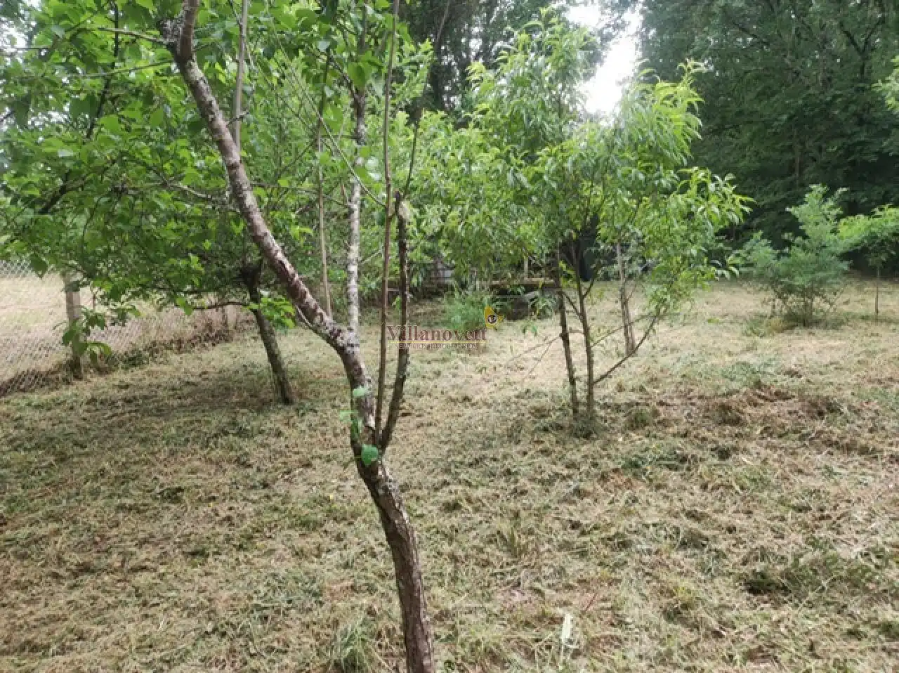 Terrenos y solares en venta en Ponteareas, imagen 4