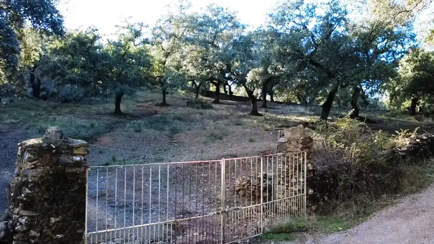 Terrenos y solares en venta en Dehesa 8, imagen 8