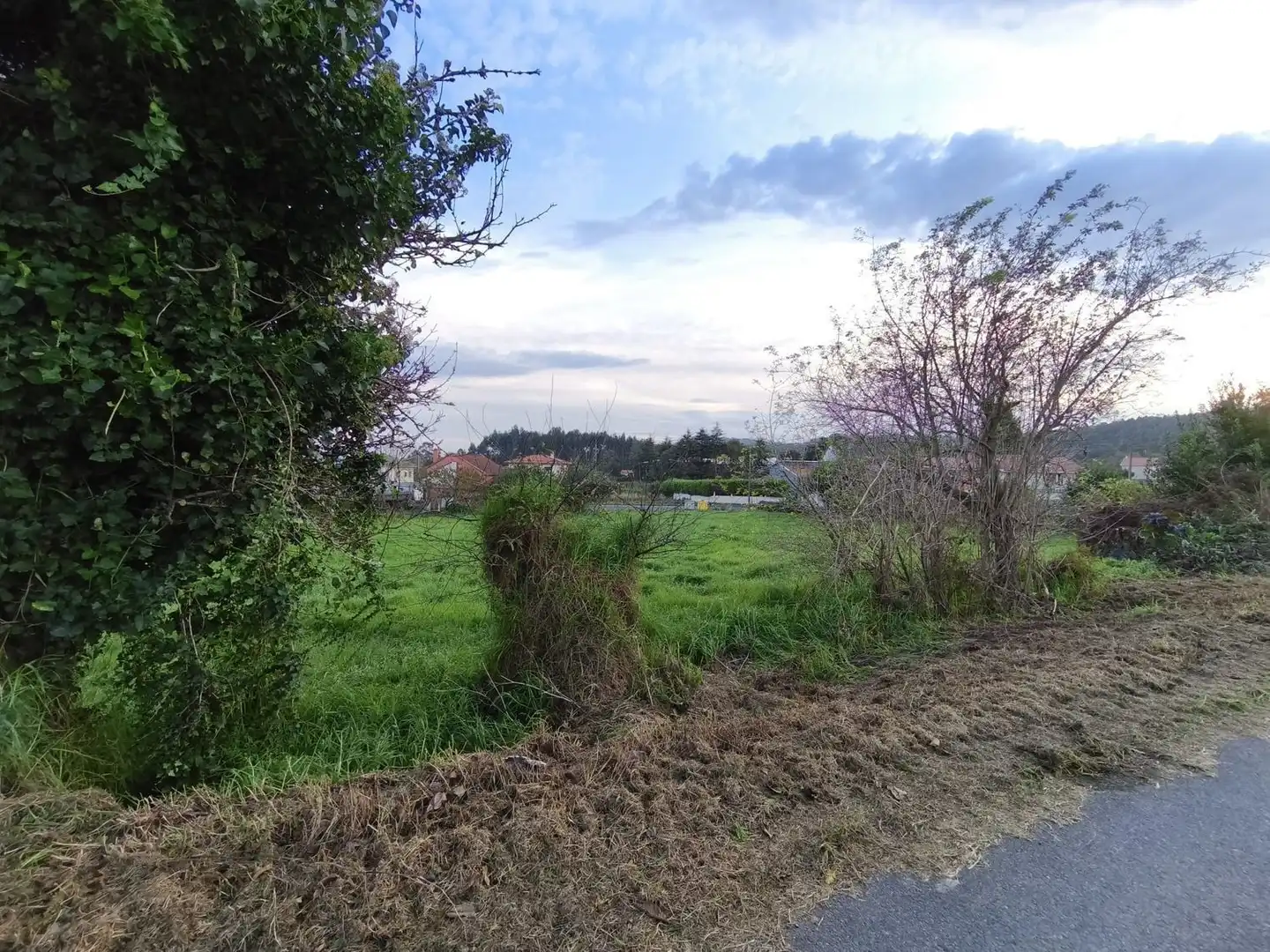Terreno rústico en venta en Valon Núcleo 52, imagen 16