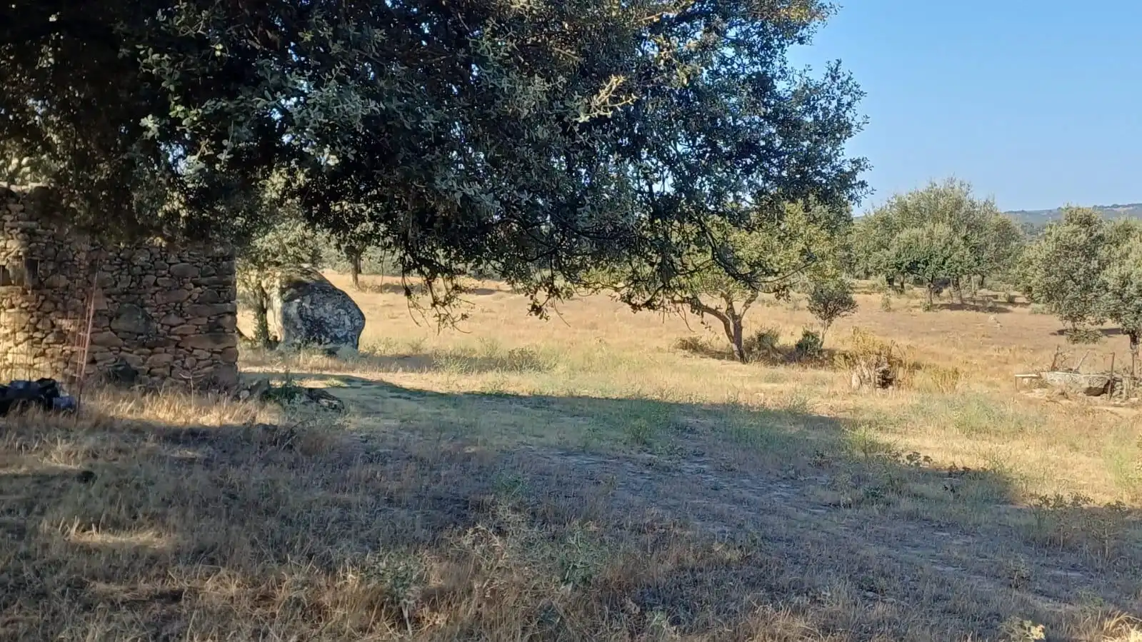 Land for sale in Santibáñez el Bajo