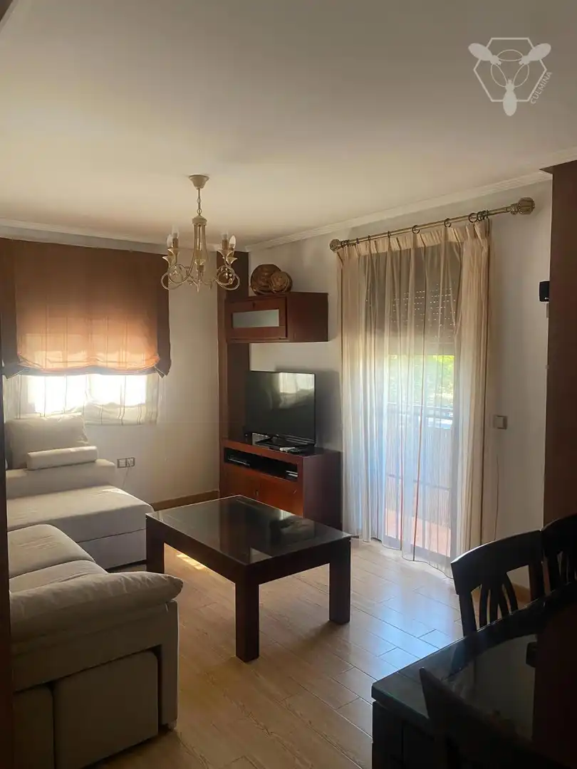 Piso con terraza en venta en El Carmen - Cardeñas, imagen 2