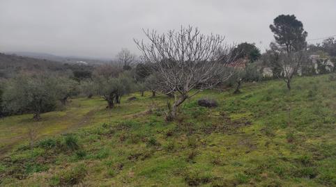 Photo 5 of Land for sale in Calle Virgen Puerto, 20, Miralvalle - Av. Virgen del Puerto - La Data, Cáceres