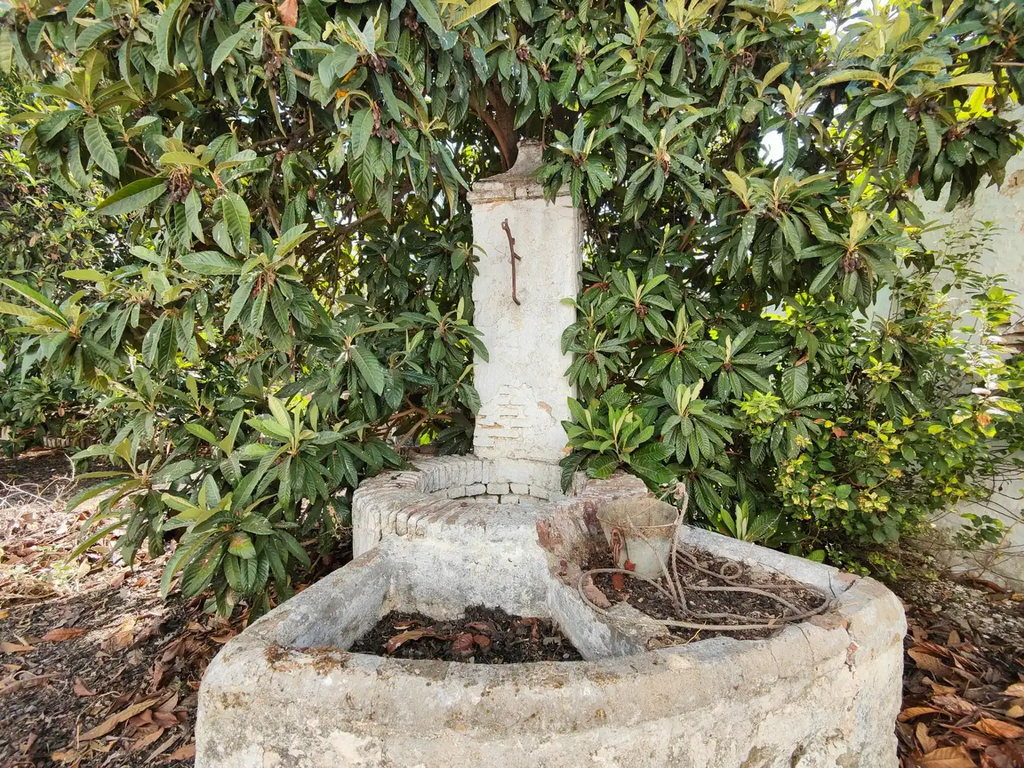 Jardí de Casa o xalet en venda en Trigueros amb Jardí privat, Traster i Balcó