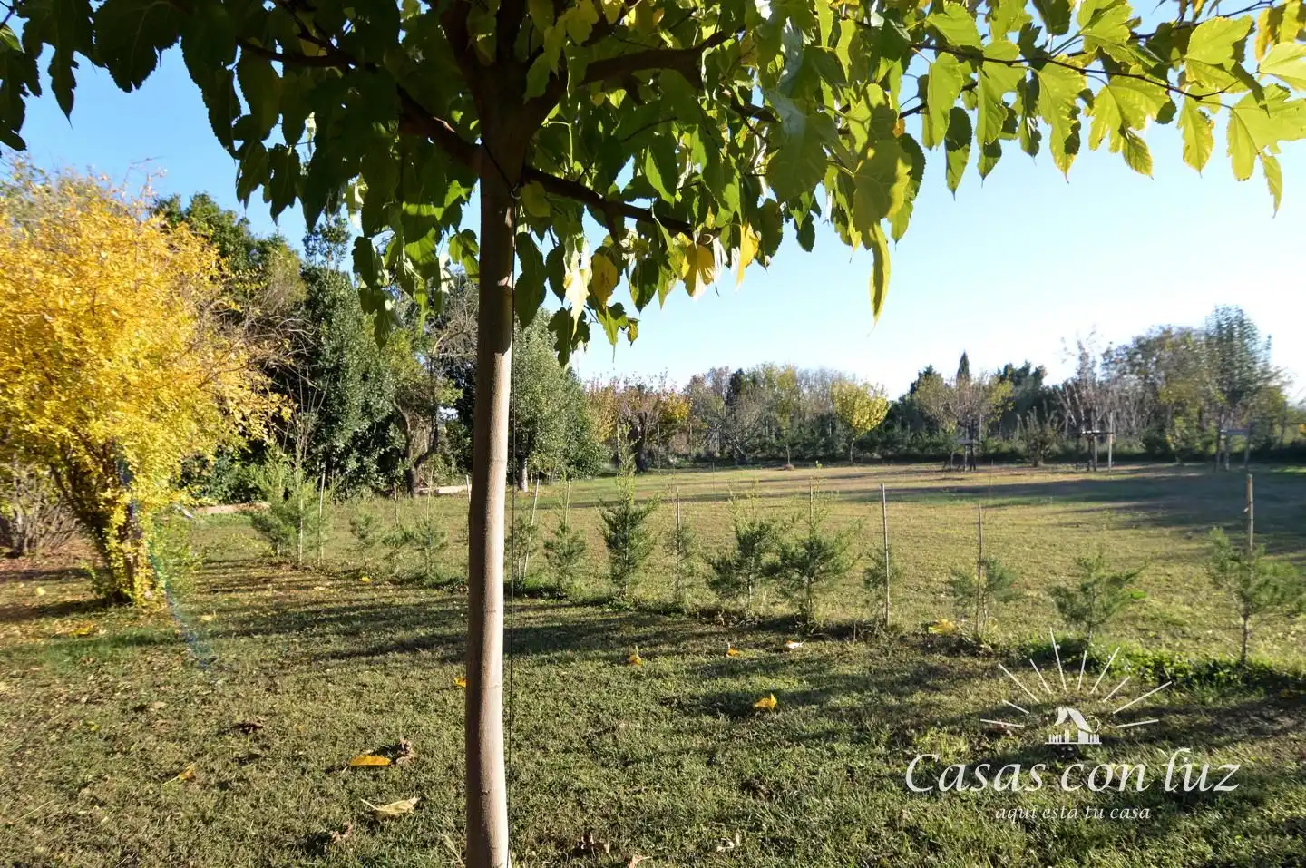 Finca rústica en venda a Urbanización El Guaral, Peñaflor