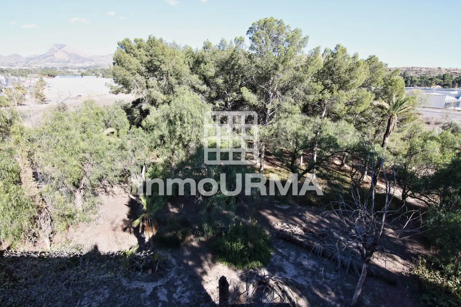 Casa o xalet en venda en Elda amb Jardí privat