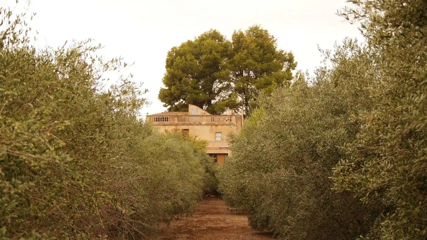 Vista exterior de Finca rústica en venda en Valls amb Calefacció, Jardí privat i Terrassa