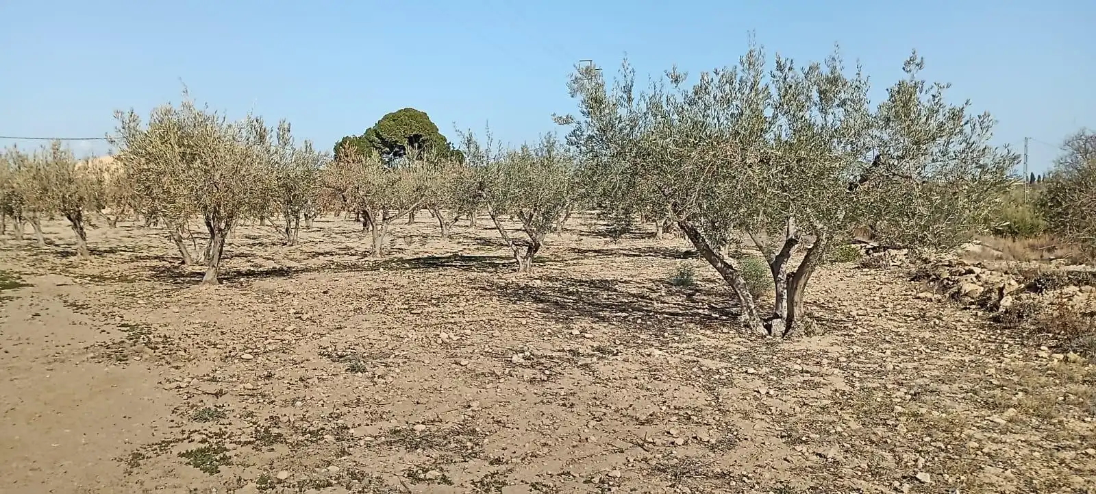 Maison avec jardin à vendre à Mojácar Pueblo, imagen 31